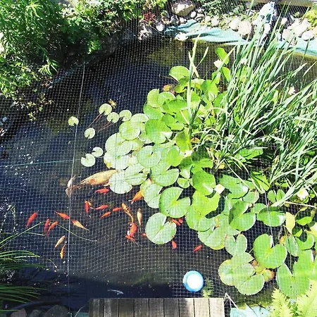 アパート Gartenblick Kröpelin