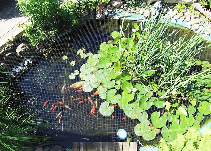 Daire Gartenblick Kröpelin